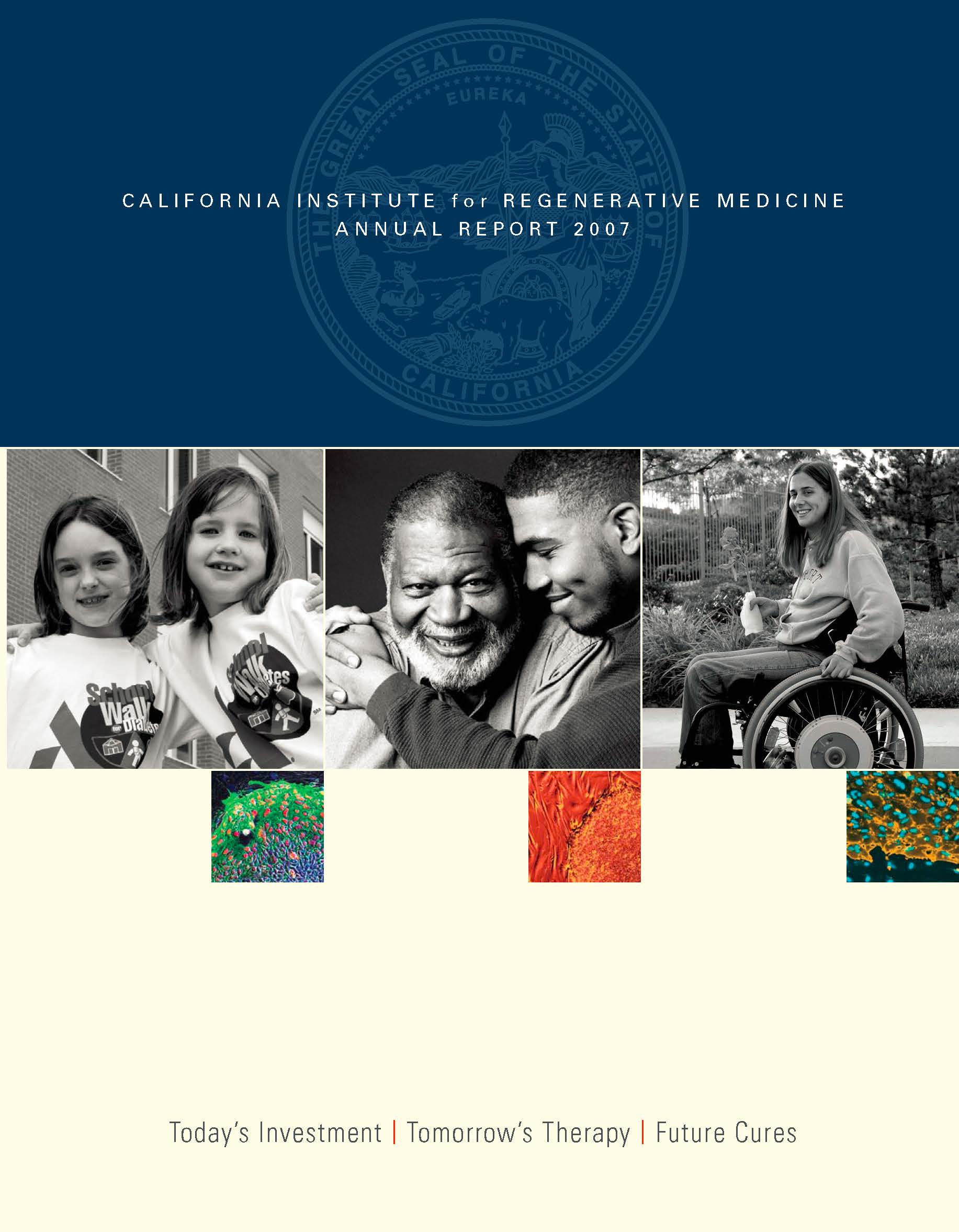 2008 cover of annual report