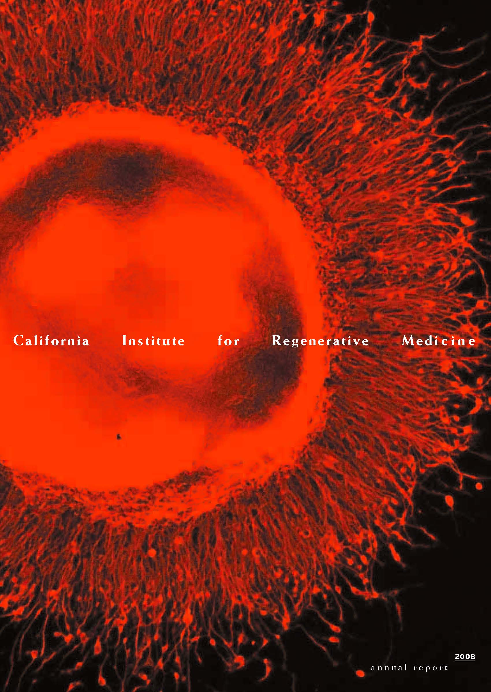 2008 cover of annual report